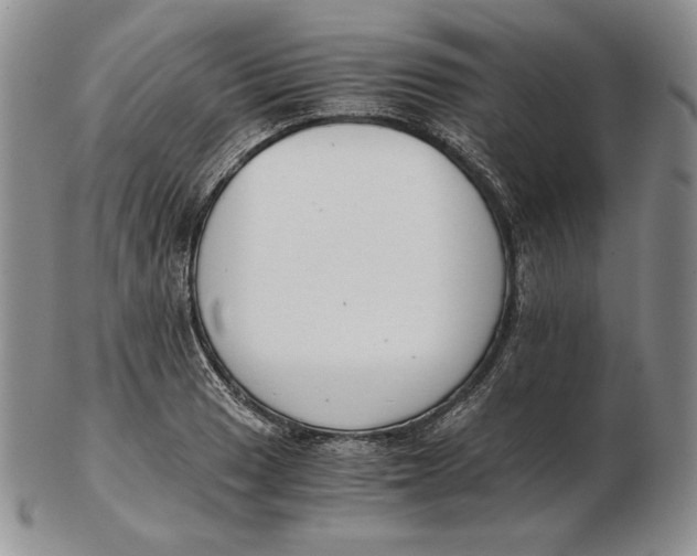 X0000102371033200808221734