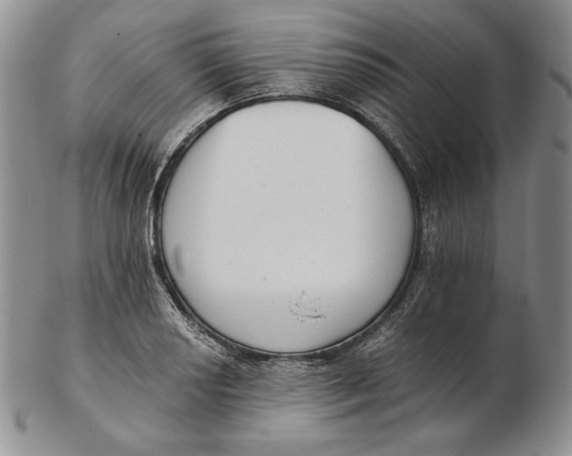 X0000102371034200808221734