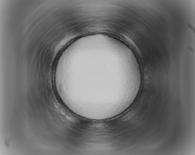 X0000102371035200808221734