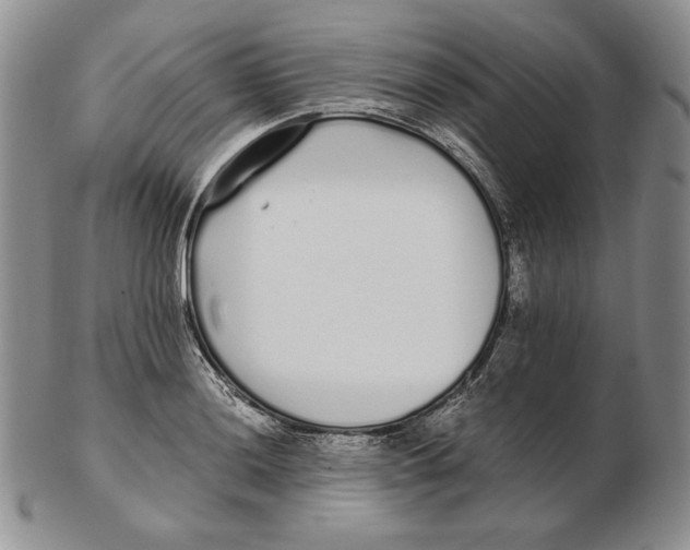 X0000102371036200808221734