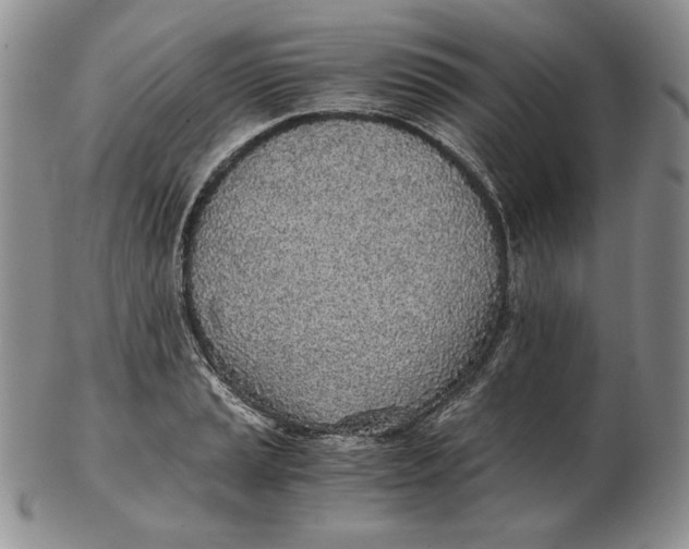 X0000102371037200808221734