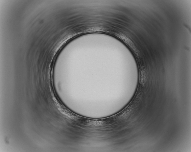 X0000102371039200808221734