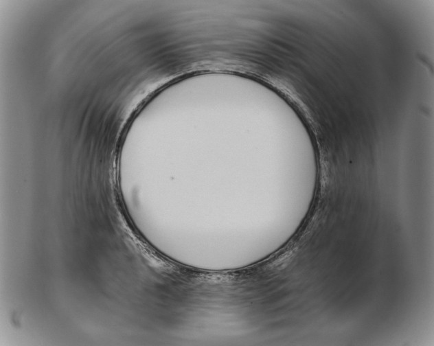 X0000102371040200808221734