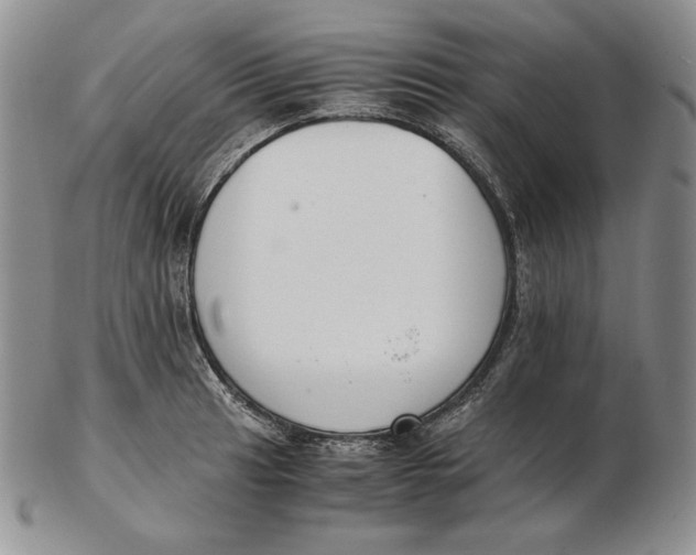 X0000102371041200808221734