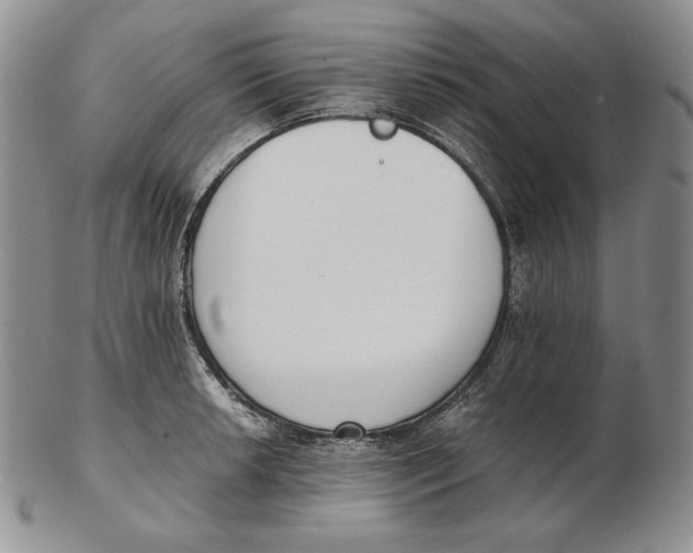 X0000102371042200808221734