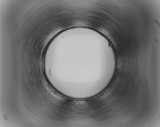 X0000102371043200808221734