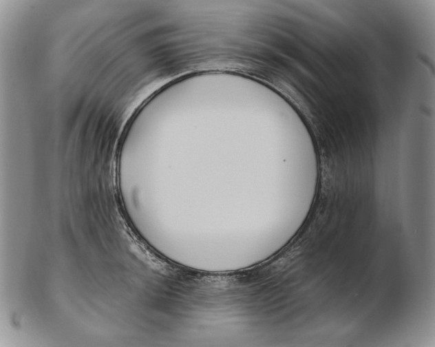 X0000102371044200808221734