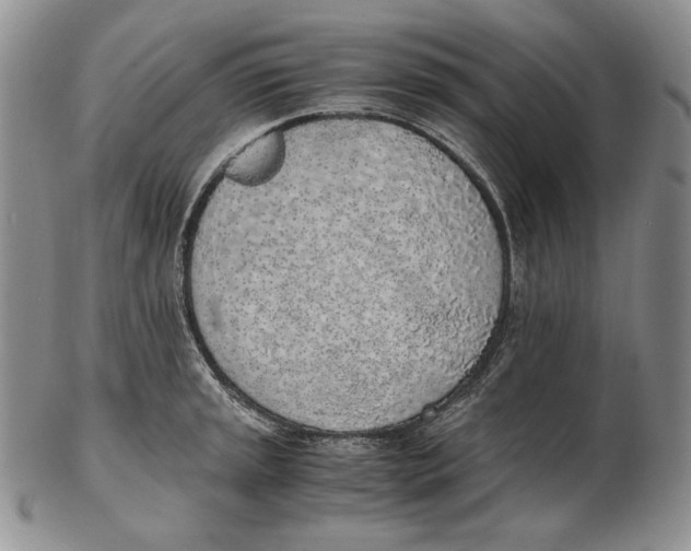 X0000102371045200808221734