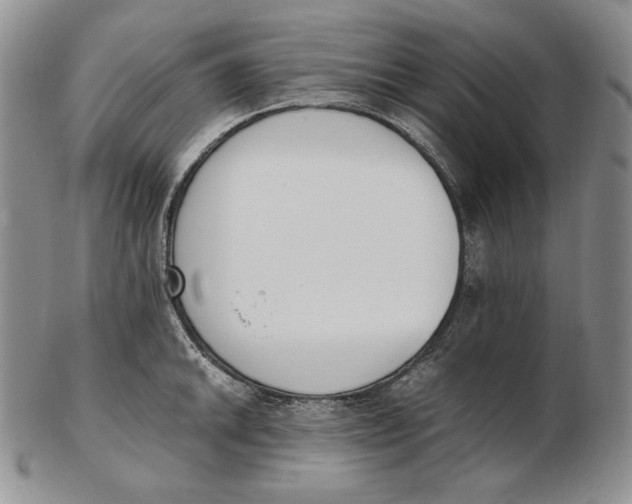 X0000102371046200808221734