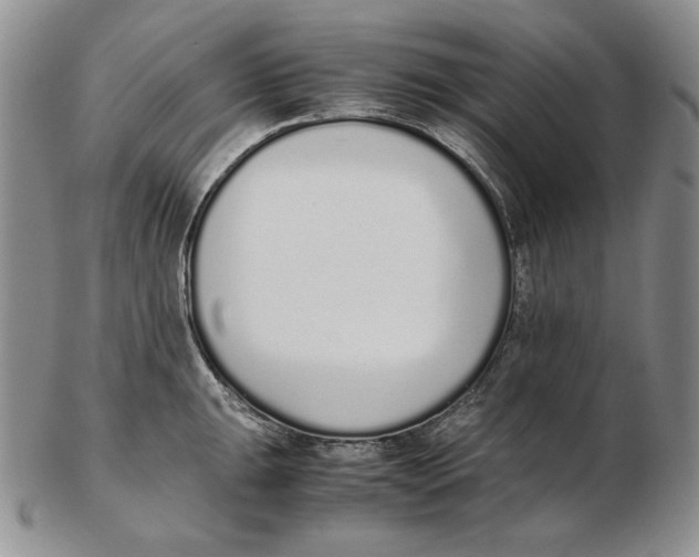 X0000102371047200808221734