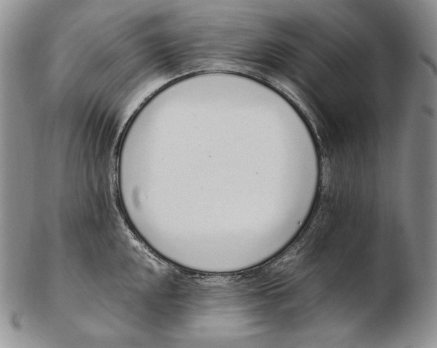 X0000102371048200808221734