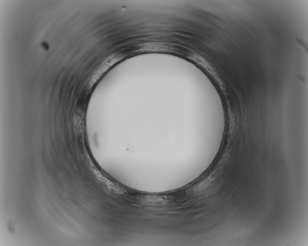 X0000102371049200808221734