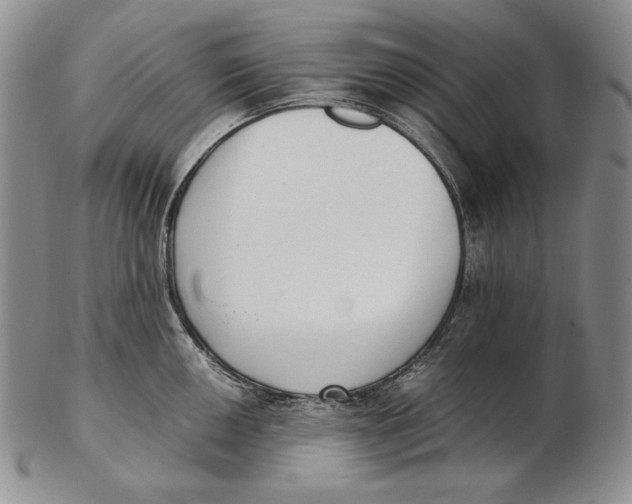 X0000102371050200808221734