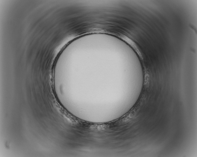 X0000102371051200808221734