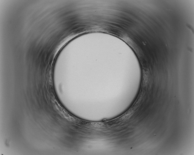 X0000102371052200808221735