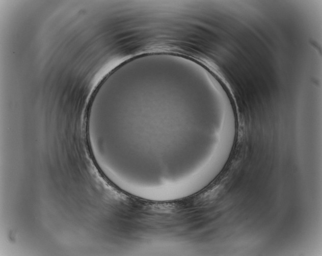 X0000102371053200808221735