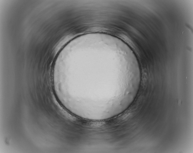 X0000102371055200808221735