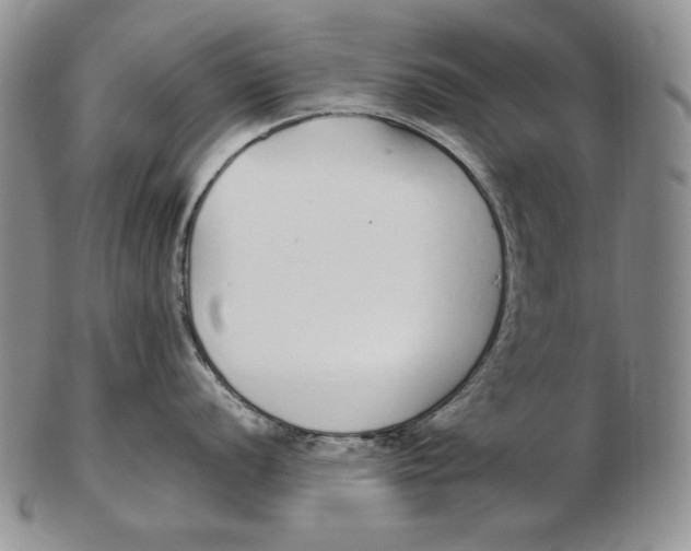 X0000102371056200808221735