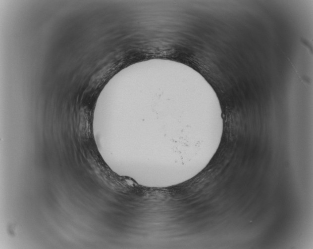 X0000102371058200808221734