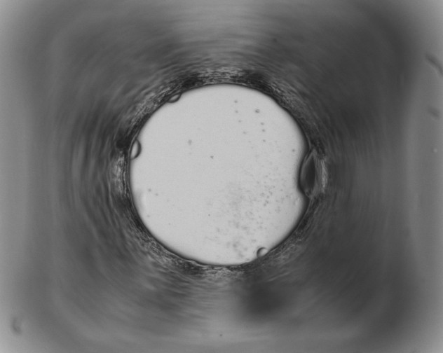 X0000102371059200808221734