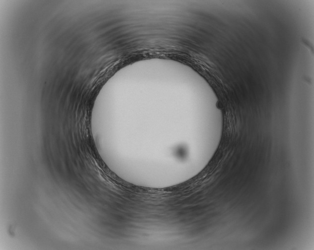 X0000102371060200808221734