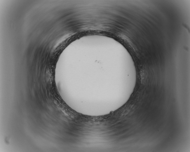 X0000102371064200808221733