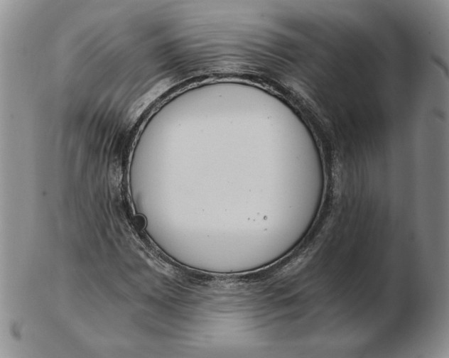 X0000102371065200808221733