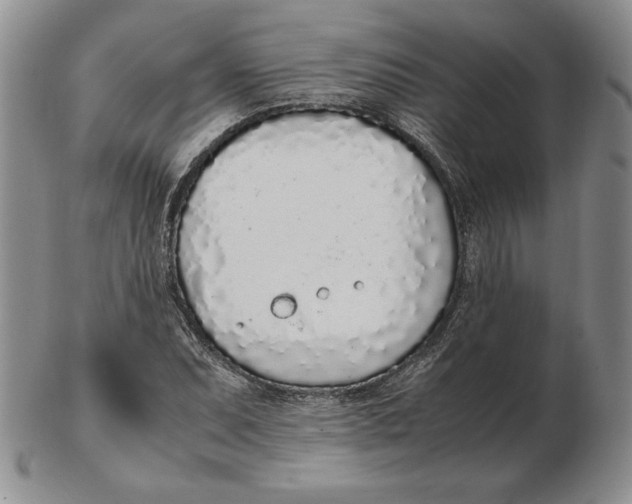 X0000102371071200808221733