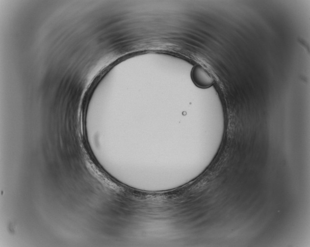 X0000102371080200808221733