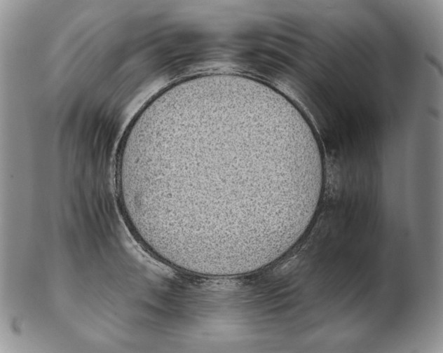 X0000102371090200808221733