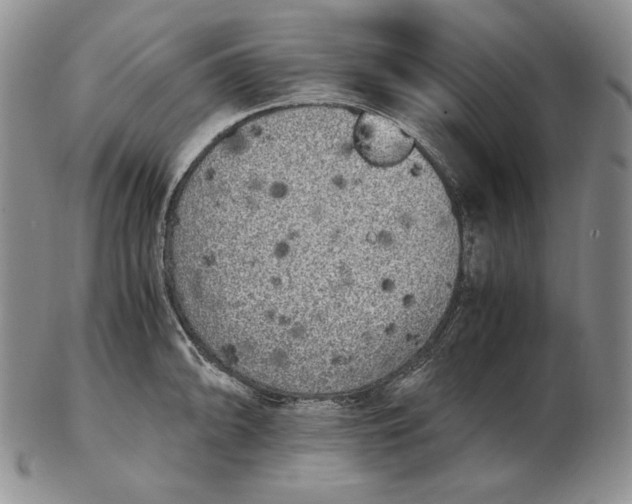 X0000102371094200808221733