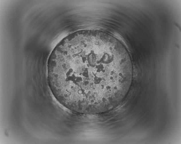 X0000102371095200808221733