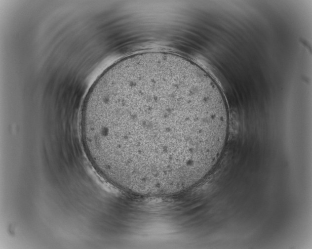 X0000102371098200808221733