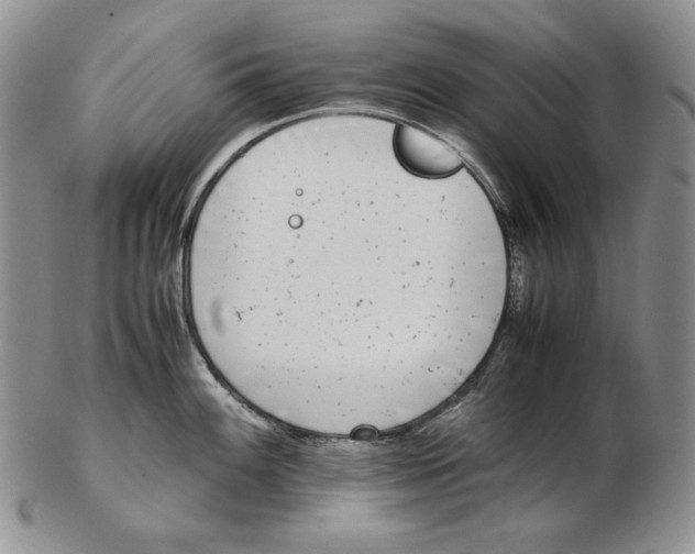 X0000102371100200808221733