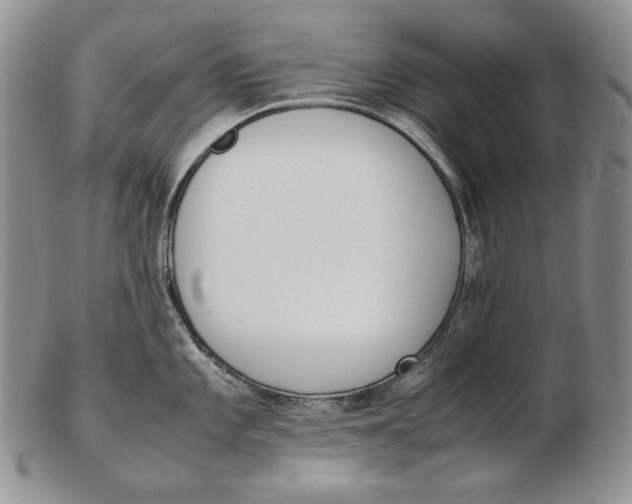 X0000102371101200808221733