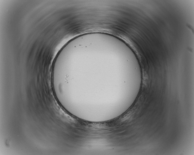 X0000102371102200808221733