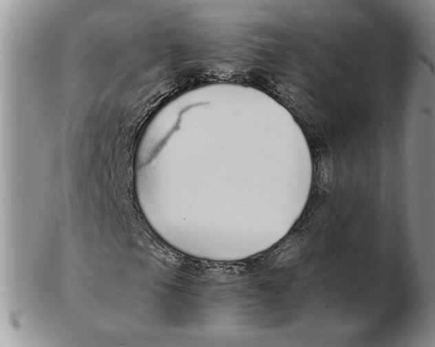 X0000102371105200808221732