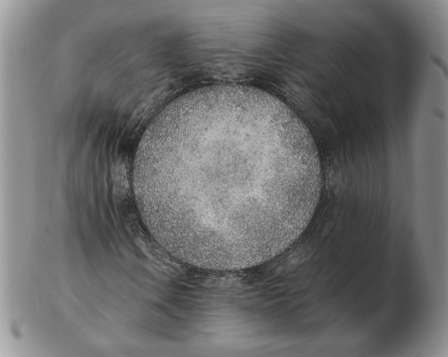 X0000102371106200808221732