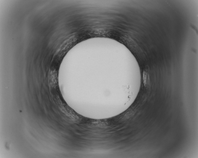 X0000102371107200808221732