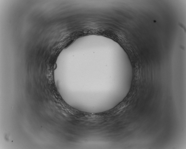 X0000102371109200808221732