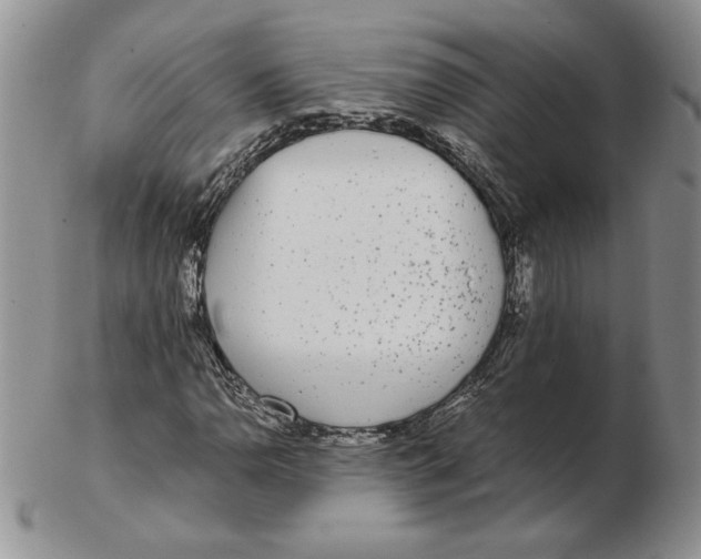 X0000102371110200808221732