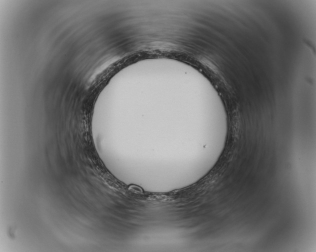 X0000102371112200808221732