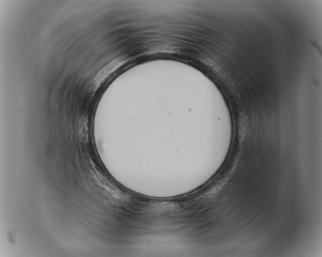 X0000102371113200808221732