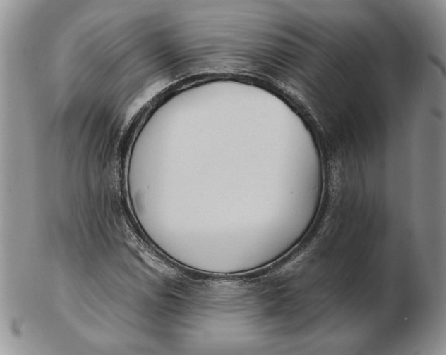 X0000102371114200808221732