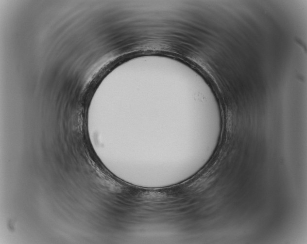 X0000102371115200808221732