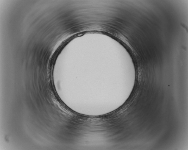 X0000102371116200808221732