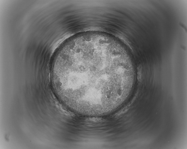 X0000102371117200808221732