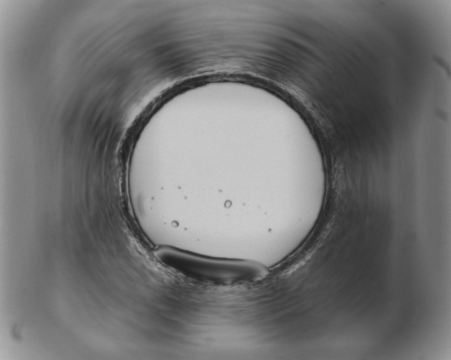 X0000102371118200808221732