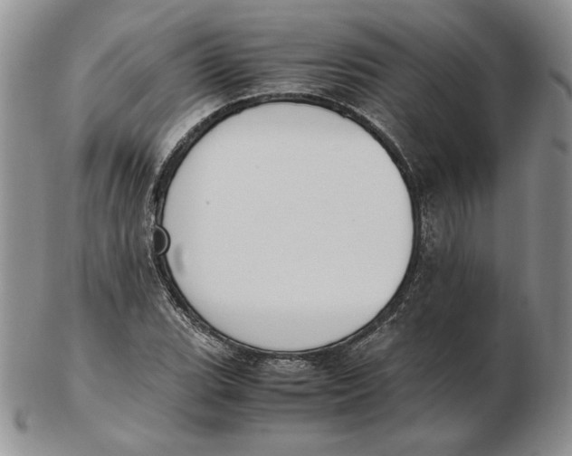 X0000102371119200808221732