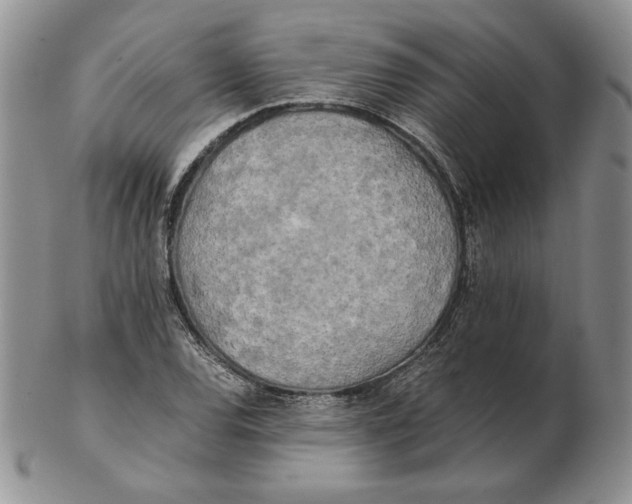 X0000102371120200808221732